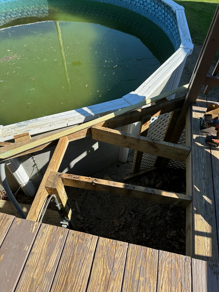 Backyard pool full of green algae before restoration