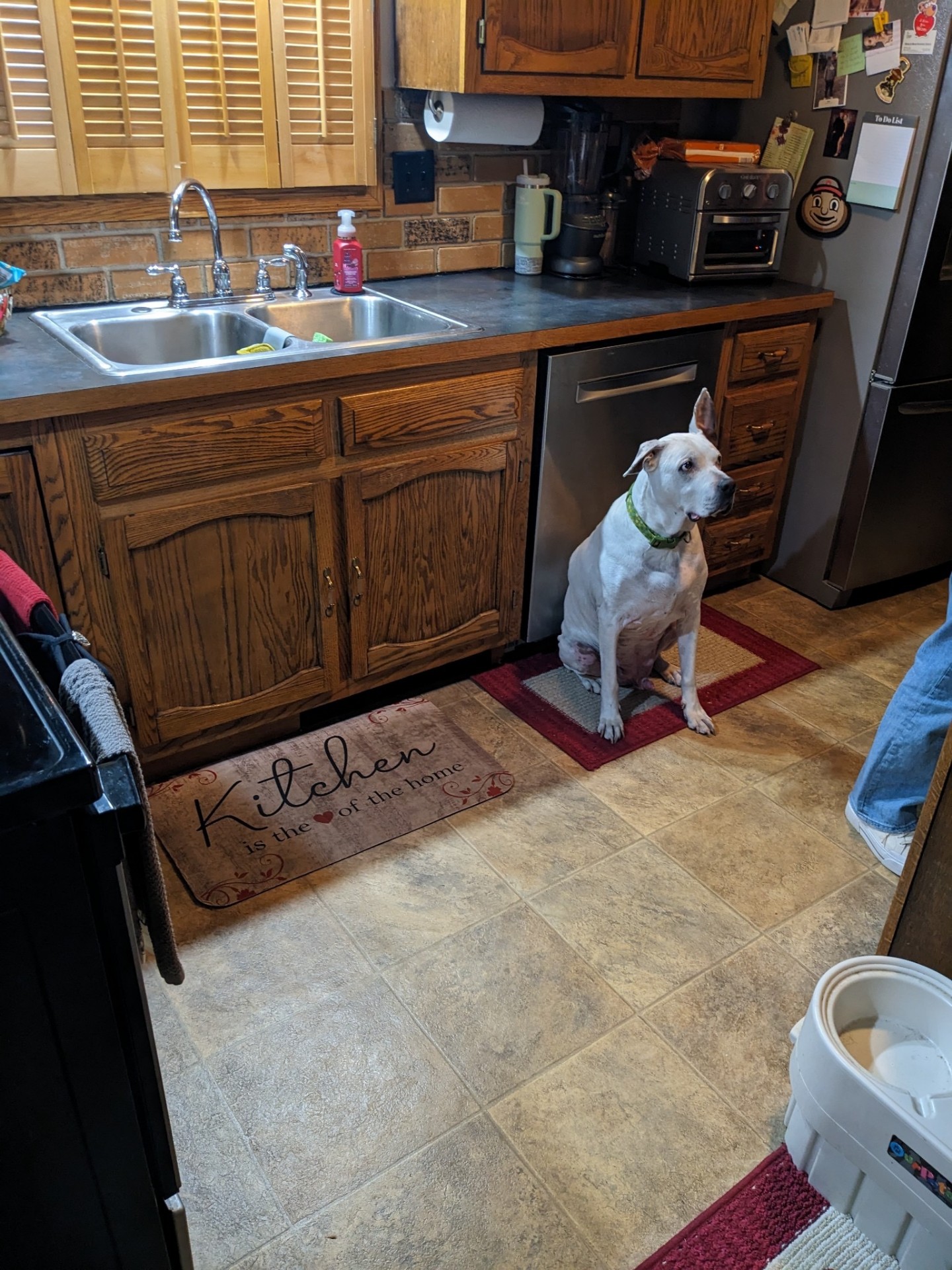 Finished kitchen with oak cabinetry, stainless appliances, and tile flooring